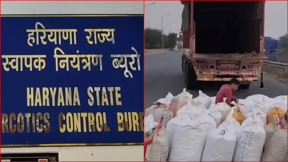 Haryana Narcotics Control Bureau