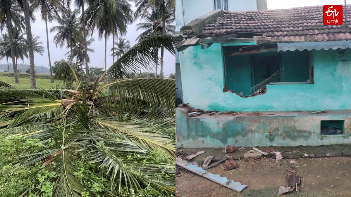 கோயம்புத்தூரில் கதவை தட்டி வீட்டிற்குள் நுழைய முயன்ற யானைகளால் பரபரப்பு!