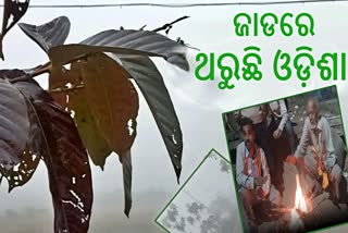 ରାଜ୍ୟରେ ଶୀତ ଲହରୀ