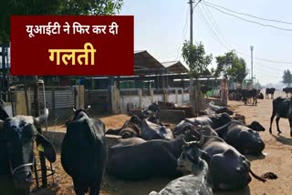 Devnarayan Animal Husbandry Residential Scheme