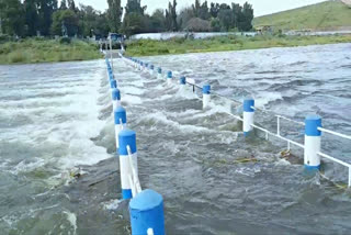 Vaigai dam final warning