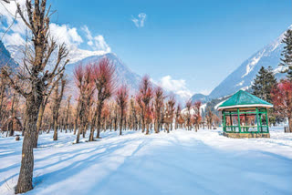 Kashmir in grip of intense cold wave
