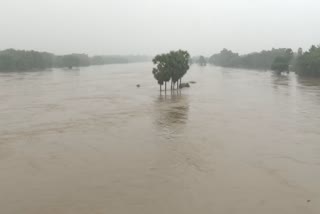 south tamil nadu rain