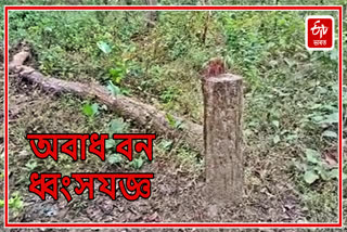 Deforestation in West Kamrup forest division