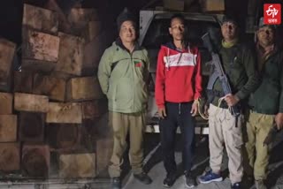 Illegal Timber Smuggler in Chirang