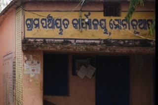 କଲରାପତାରିଆ ବାଘ ଆକ୍ରମଣ