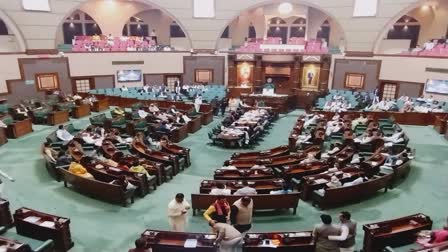 MP assembly session