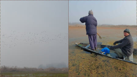 Ganderbal Bird Inflow currently low