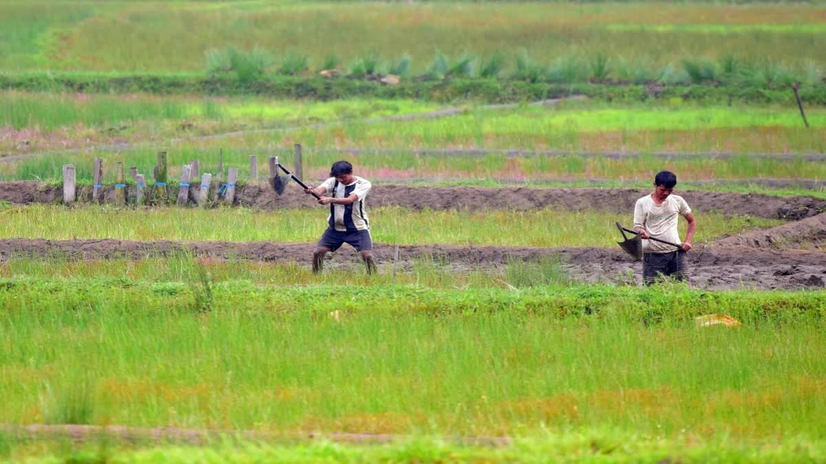 AGRI RESIDUE BURNING  AIR POLLUTION IN INDIA  കാർഷിക അവശിഷ്‌ടങ്ങൾ  ഖരമാലിന്യ സംസ്‌കരണ ചട്ടം ഇന്ത്യ