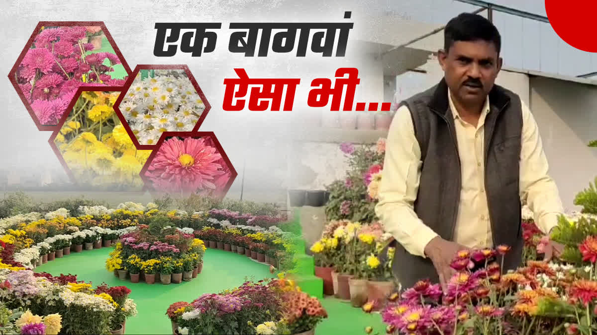 Ram Vilas Singh Flower Gardening