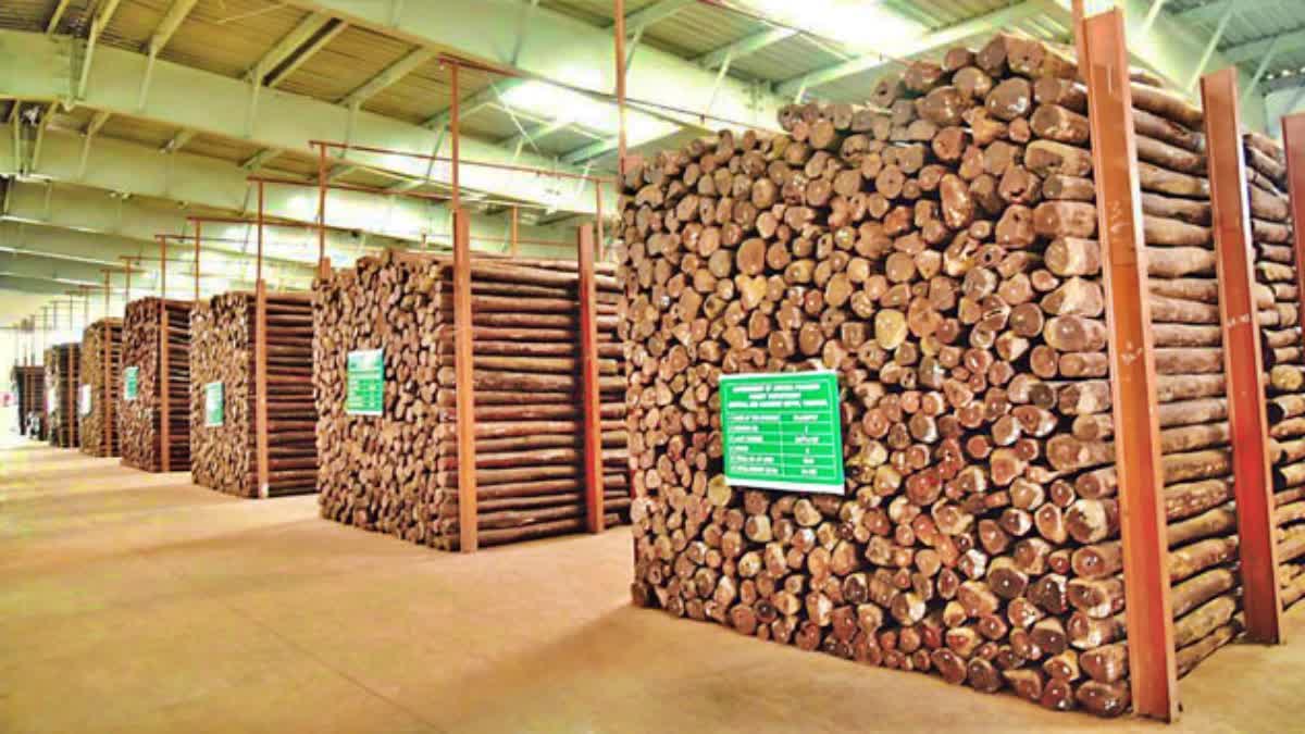 AP GOVT ON RED SANDALWOOD AUCTION