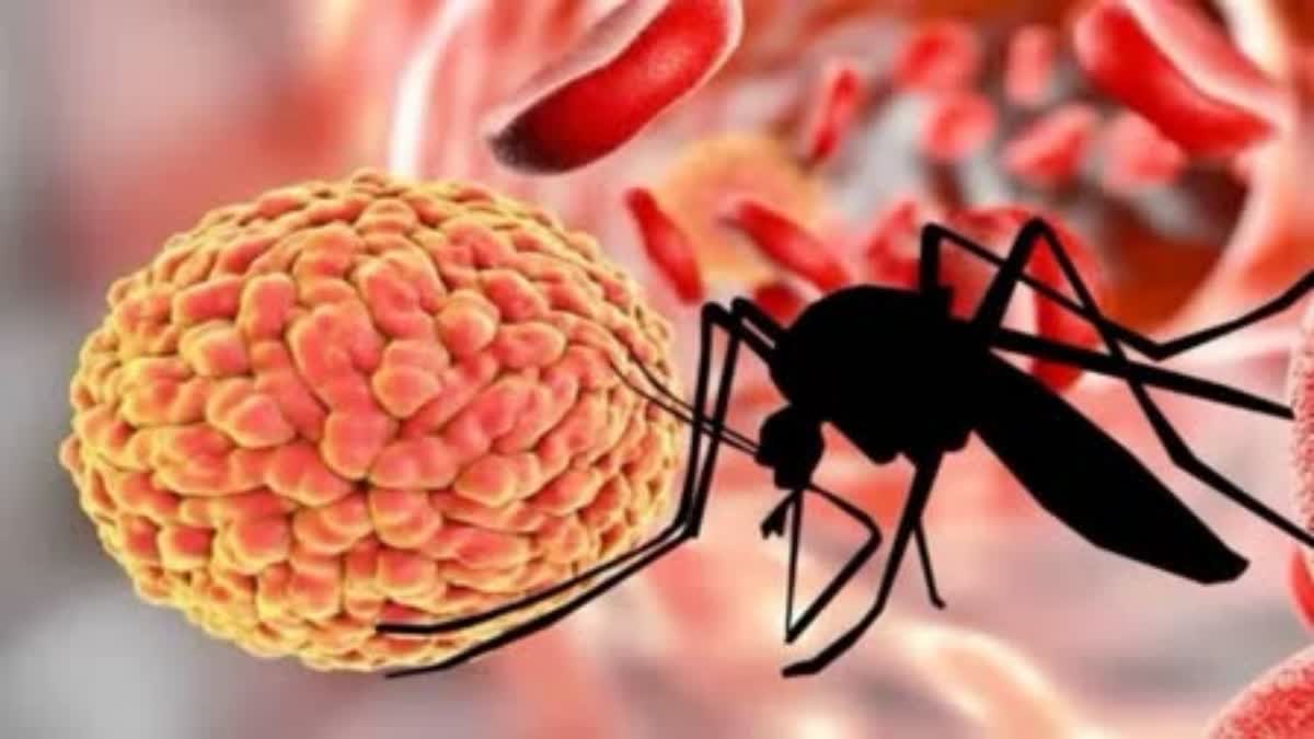 Zika Virus Scare in Nellore District