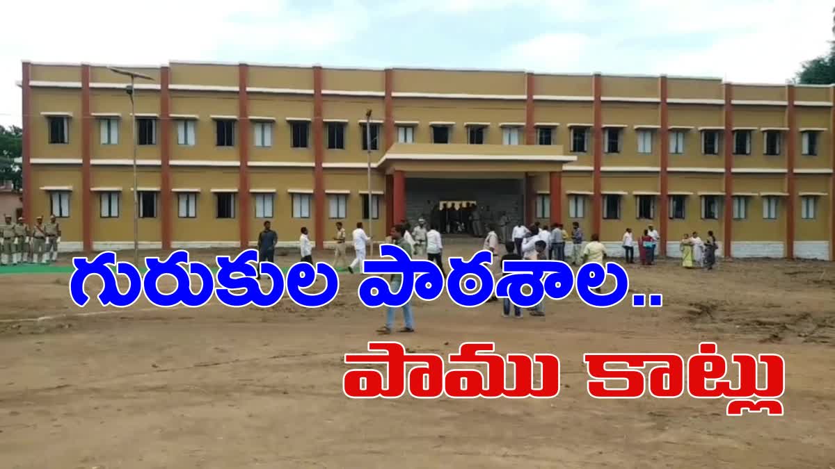 SNAKE BITES IN GURUKULAM SCHOOL