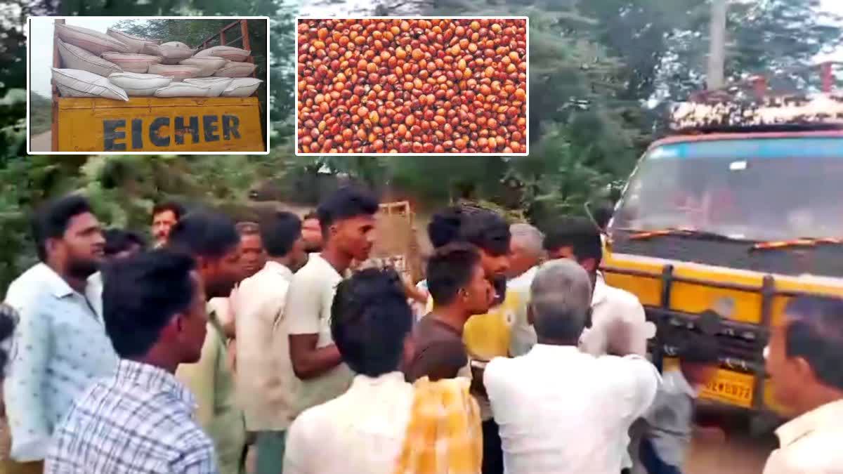 Farmers Revolt Against Merchants Due To Cheating In Purchase Of Lentils