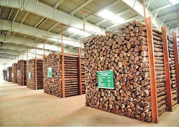 AP Govt on Red Sandalwood Tender and Auction