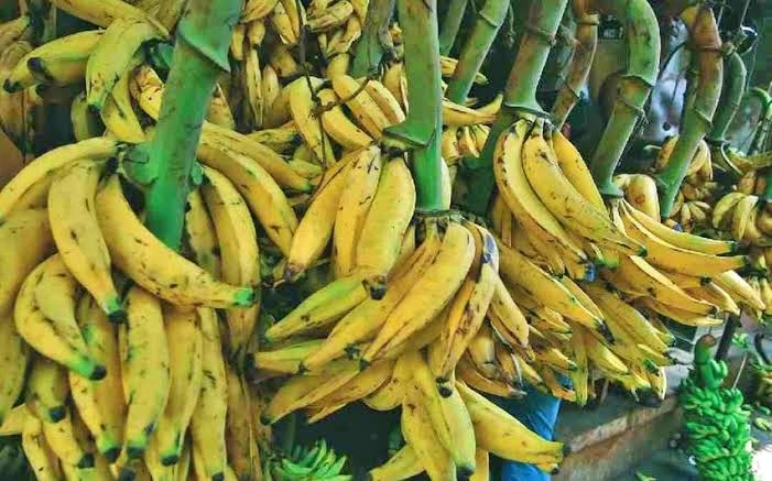 BANANA RATE HIKE  നേന്ത്രക്കുല വിലയിൽ വർധനവ്  RATE OF BANANA INCREASED  LATEST NEWS IN MALAYALAM