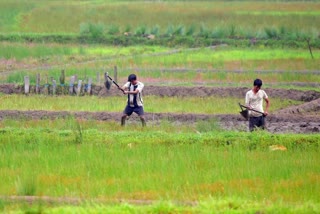 AGRI RESIDUE BURNING  AIR POLLUTION IN INDIA  കാർഷിക അവശിഷ്‌ടങ്ങൾ  ഖരമാലിന്യ സംസ്‌കരണ ചട്ടം ഇന്ത്യ