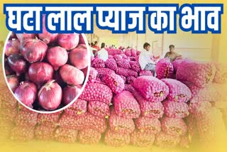 Red Onion Price Decreased