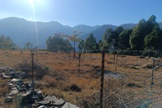 CHAIN FENCING IN CHAMOLI