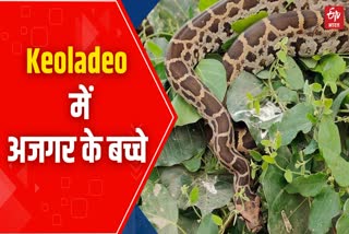 Keoladeo National Park