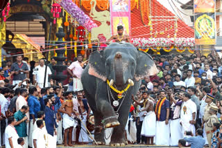 ತ್ರಿಶೂರ್ ಪೂರಂನಲ್ಲಿ ಆನೆಗಳ ಮೆರವಣಿಗೆ