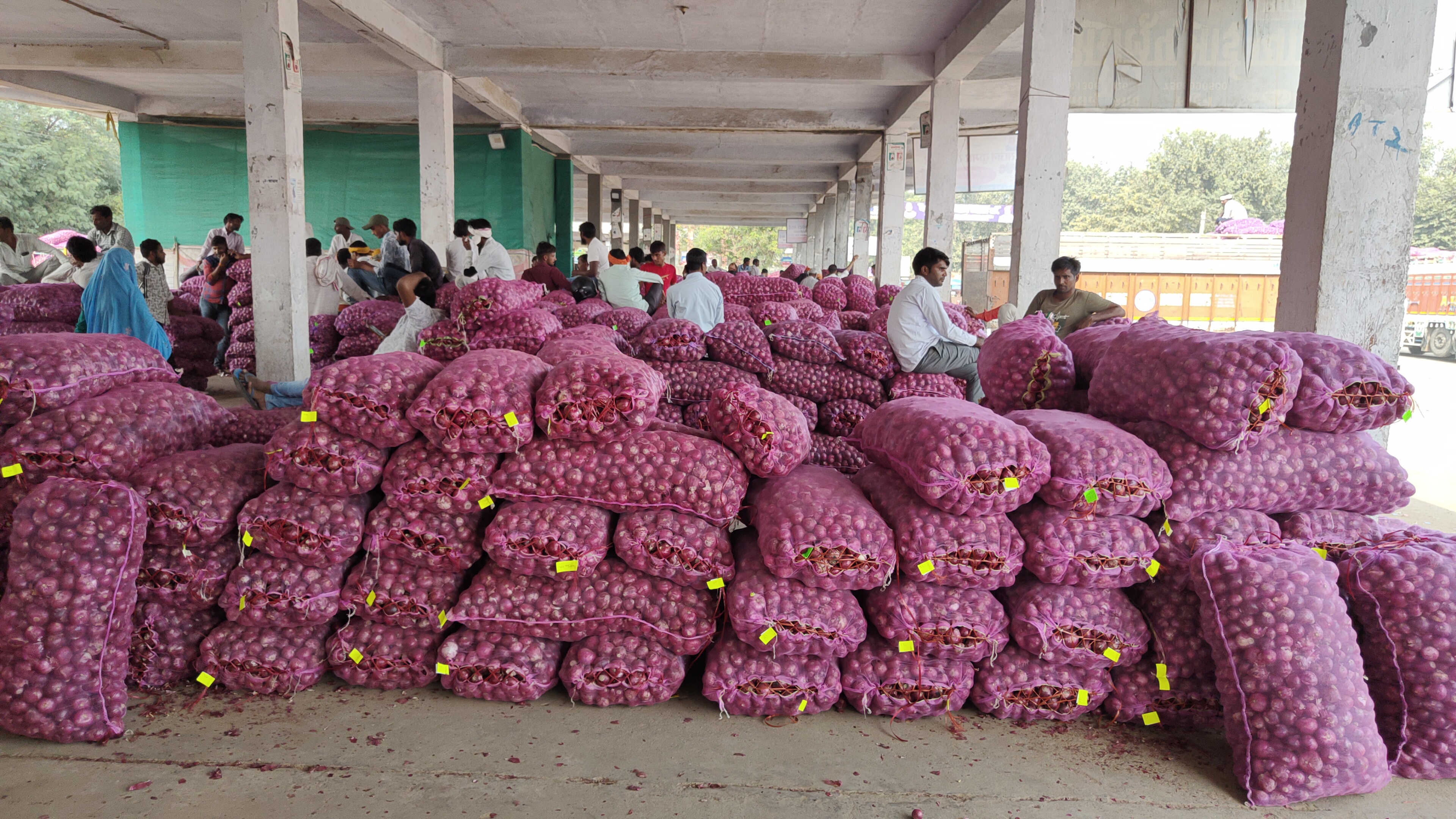 Red Onion Price Decreased