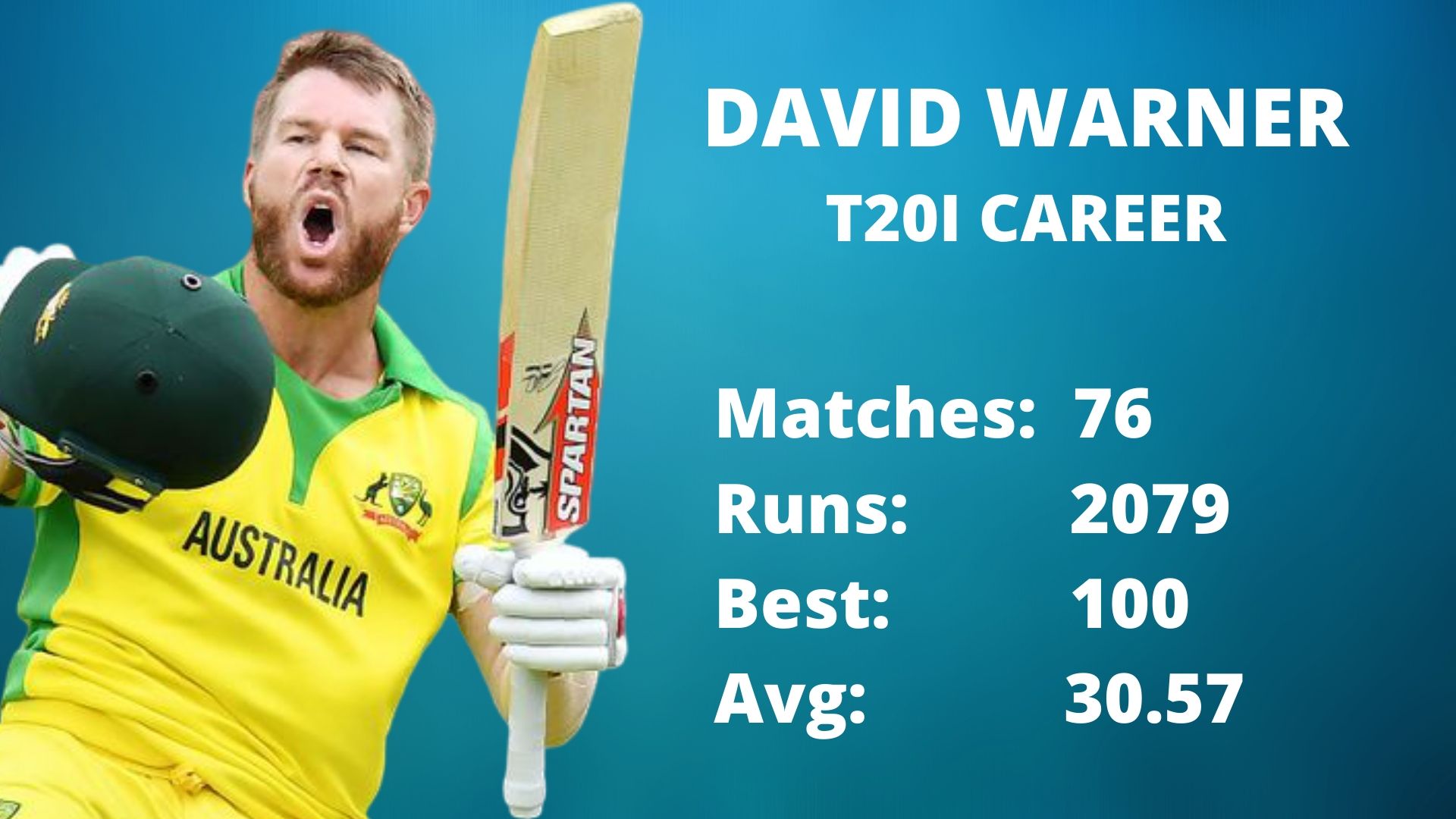 David Warner T20I Summary