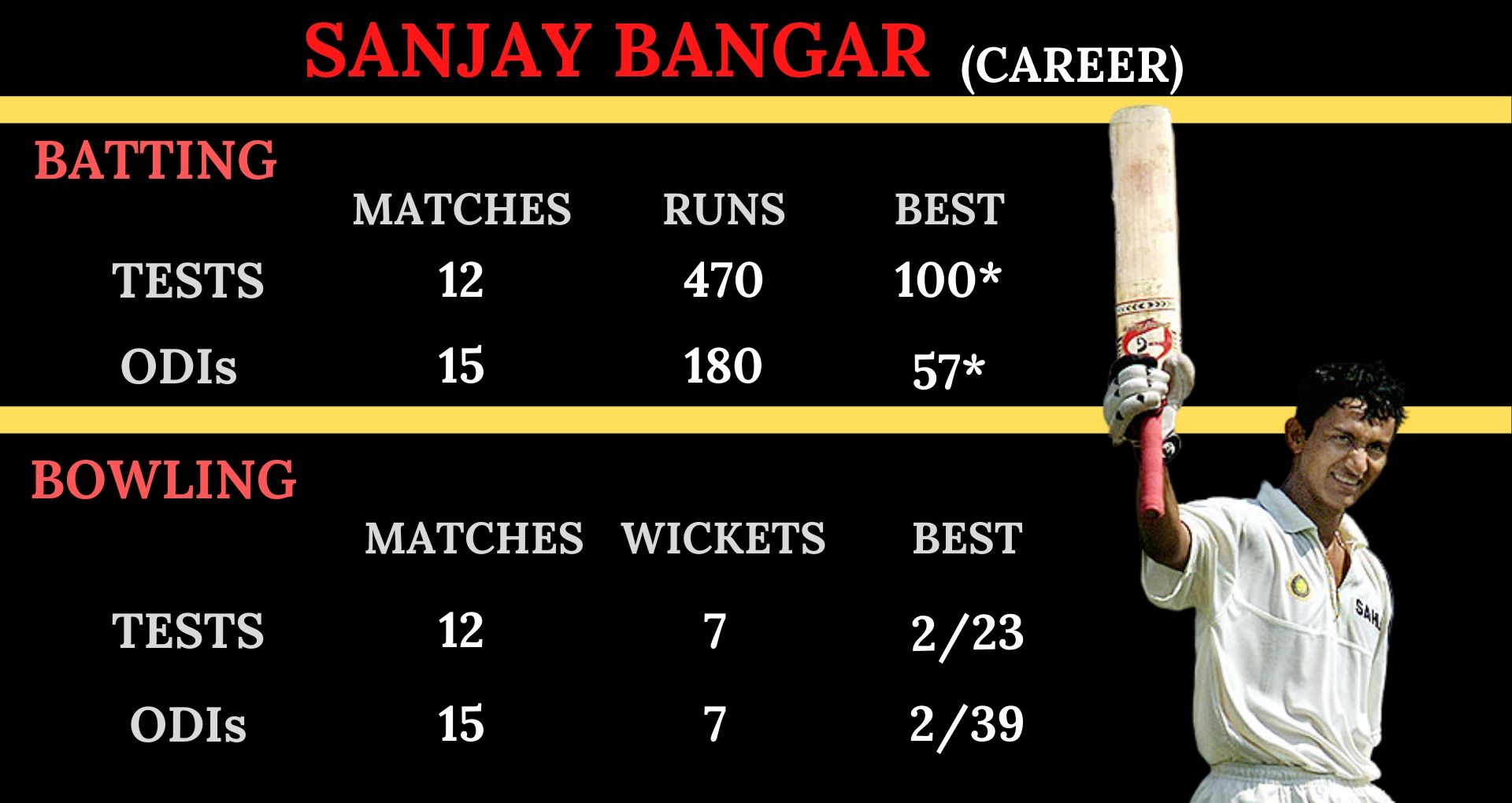 Career Summary of Sanjay Bangar