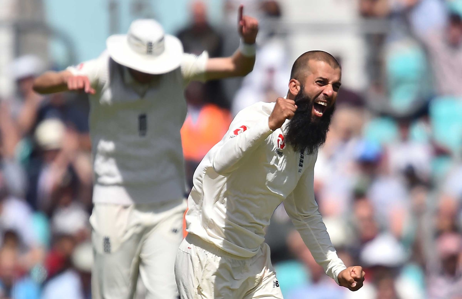 Moeen Ali,  Test, hat-trick