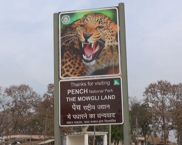 Pench Tiger Reserve