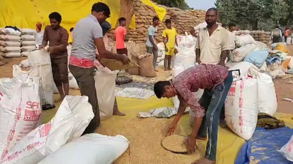 Cheating in paddy procurement