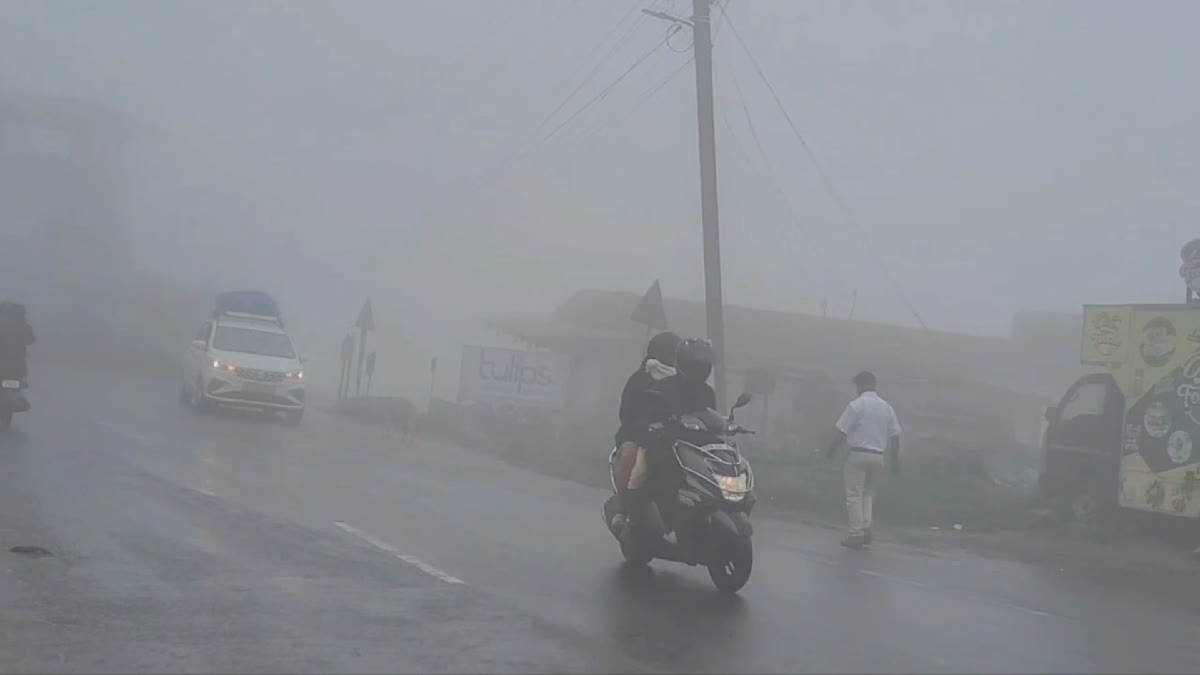 நீலகிரியில் நீர் பனி, உறை பனி என மாறி மாறி நிலவும் கால நிலை.. கடும் குளிரால் மக்கள் அவதி!, increased-freezing-mist-in-nilgiris-district