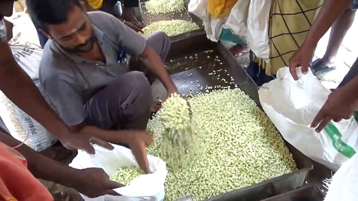 Flower prices at sathyamangalam flower market have reached record high