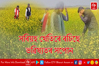 Trying to become self-sufficient in mustard cultivation