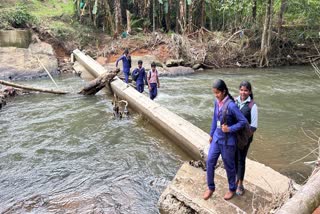 പന്നിയാർ പുഴ പാലം തകർന്നു ഇടുക്കി  തകർന്ന പാലത്തിലൂടെ യാത്ര  Panniyar river bridge crisis  transport facility crisis idukki