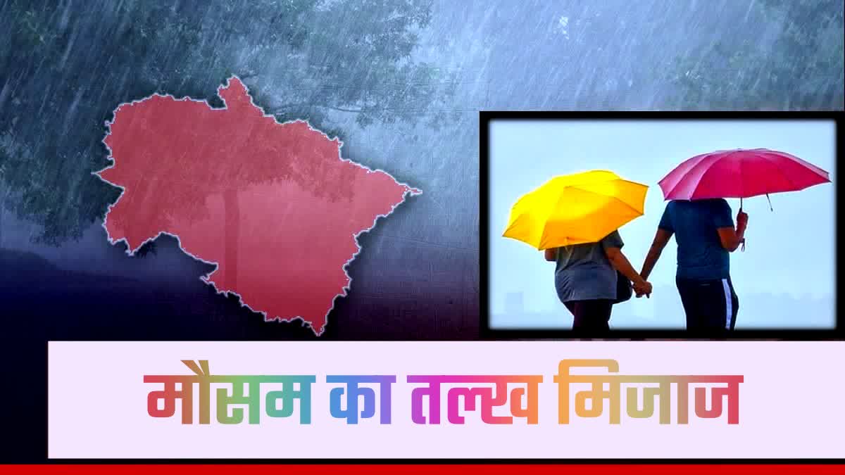 Etv Bharat