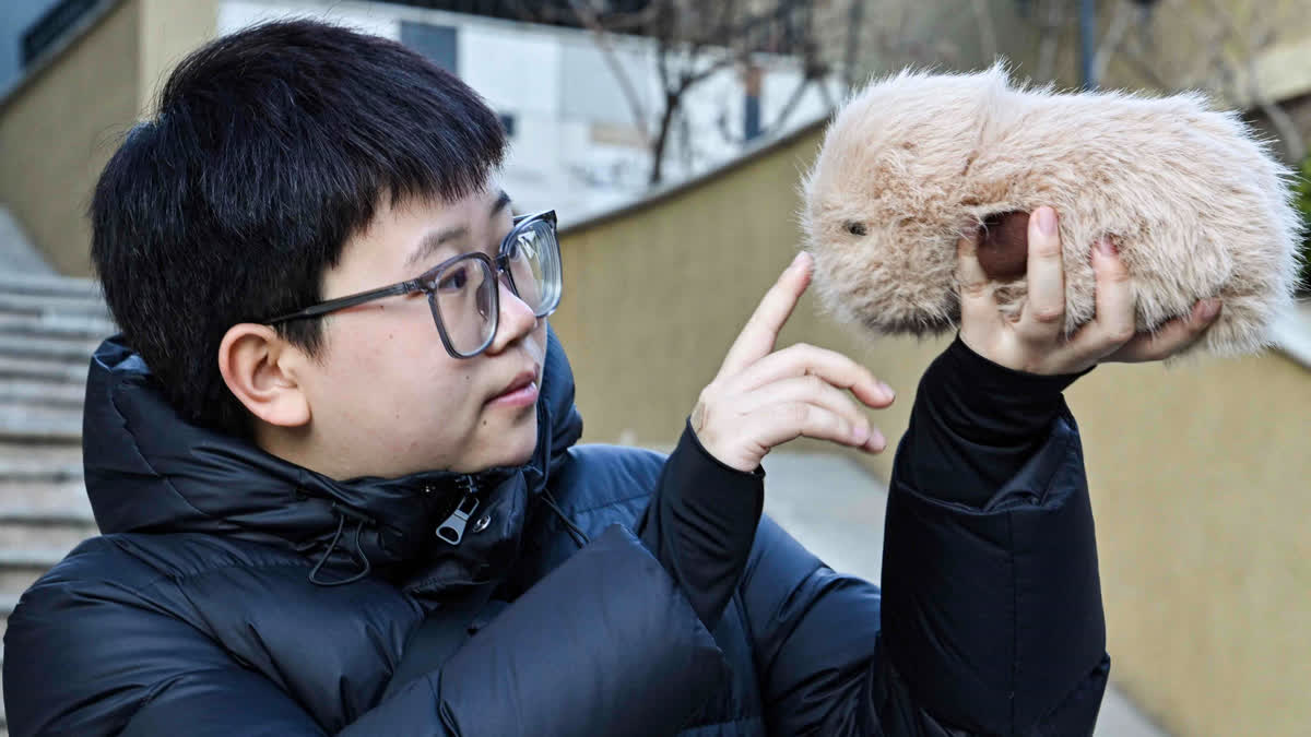 meet-babyalpha-and-booboo-the-ai-pets-young-chinese-are-buying-for-emotional-relief