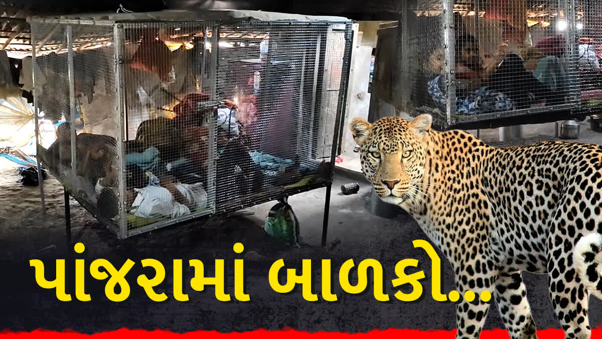 અમરેલીના ઝાંપોદર ગામે પિતાએ 6 સંતાનો માટે પાંજરુ બનાવ્યું