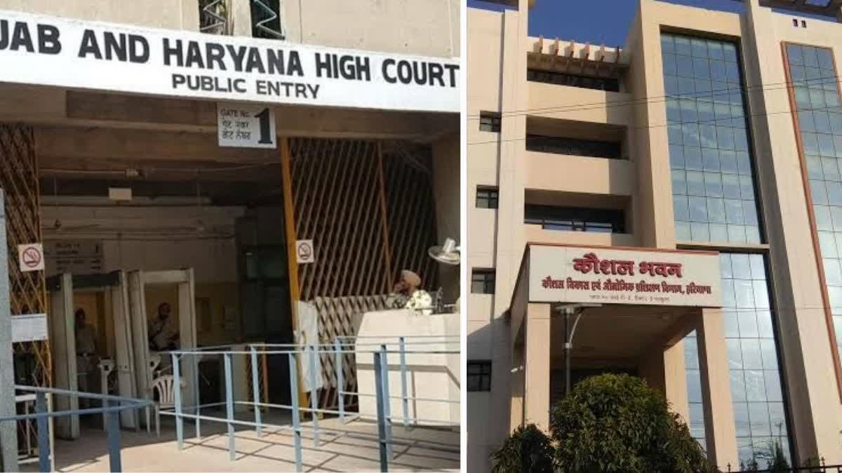 HARYANA HIGH COURT