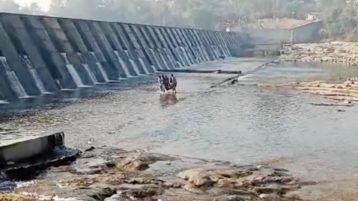 shahdol son river accident