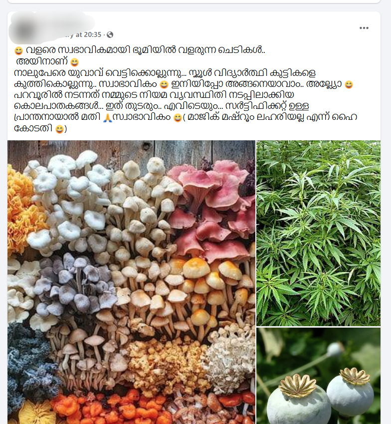 USING MAGIC MUSHROOMS IS ILLEGAL  WHAT IS MAGIC MUSHROOM  USES OF MAGIC MUSHROOM  മാജിക് മഷ്റൂം