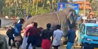 THRISSUR MATHIKUNNU VELA  ELEPHANT VIOLENCE IN TEMPLE  തൃശൂര്‍ മതിക്കുന്ന് വേല  ആന ഇടഞ്ഞു തൃശൂര്‍