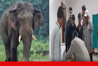 Elephant attack in Khordha