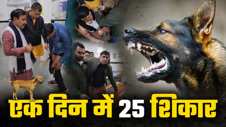 CHHATARPUR STRAY DOG ​​TERROR