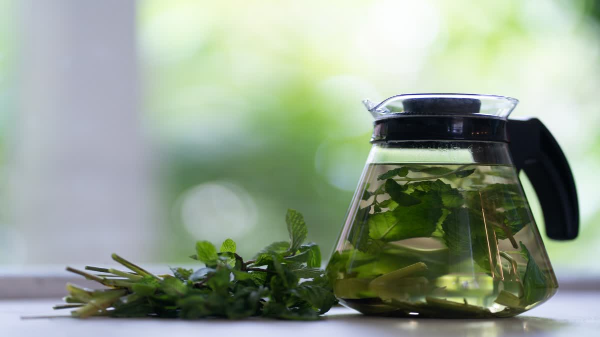 Curry Leaves Water for Health News