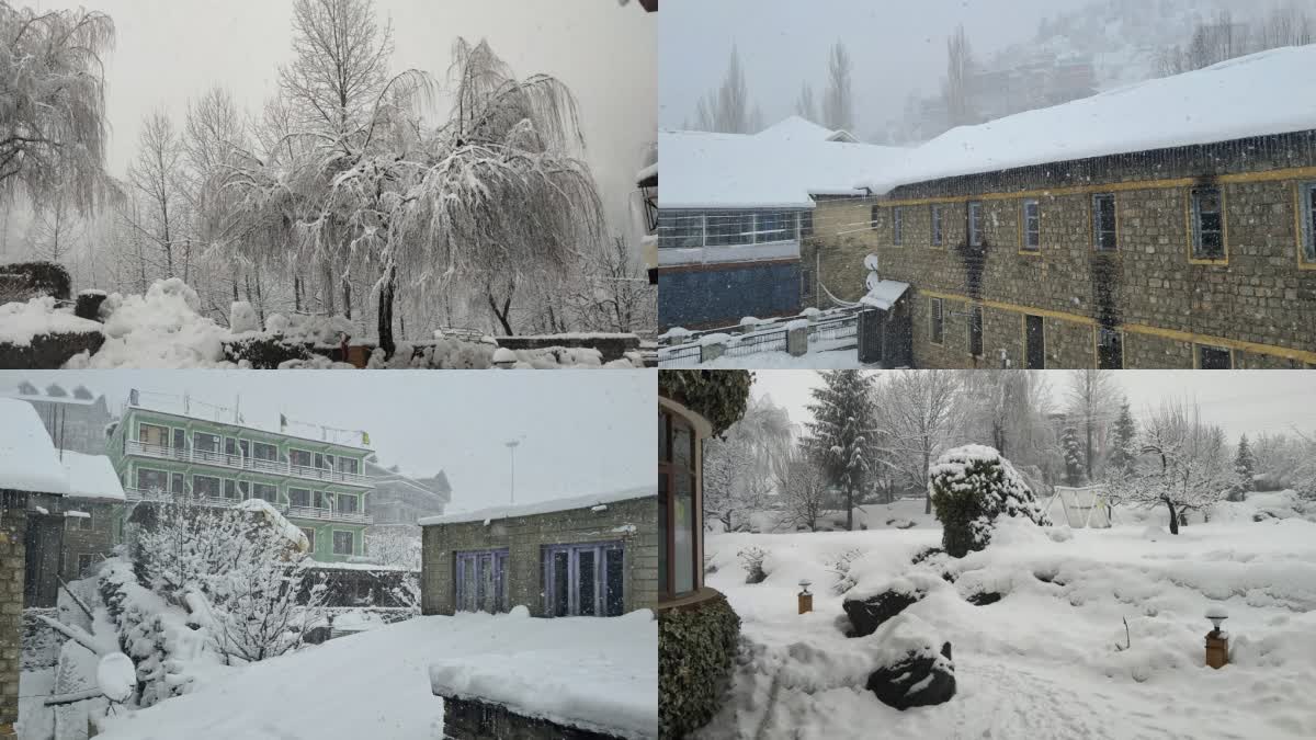 Heavy Snowfall in Himachal