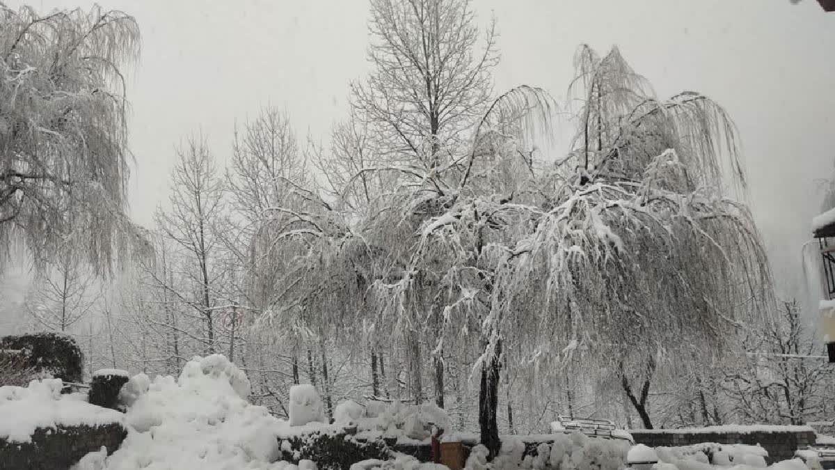 Snowfall Blocks 228 Roads, Four Highways in Himachal Pradesh; Disrupts Power, Water Schemes
