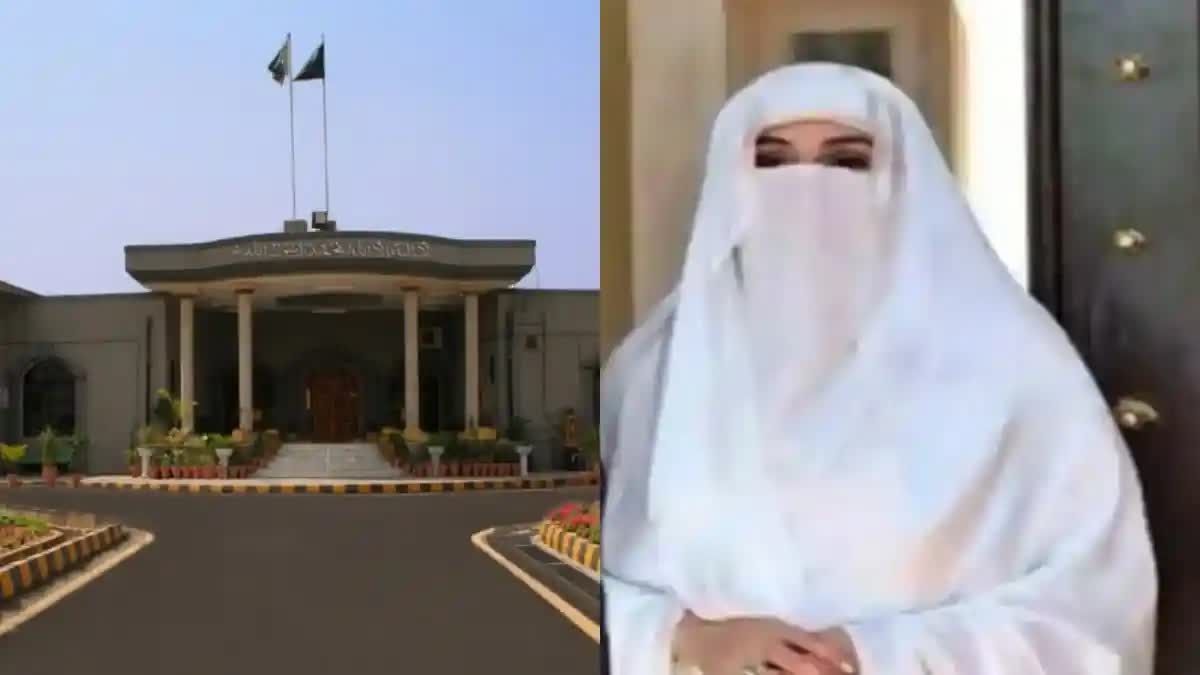 PAK IMRAN WIFE PETITION