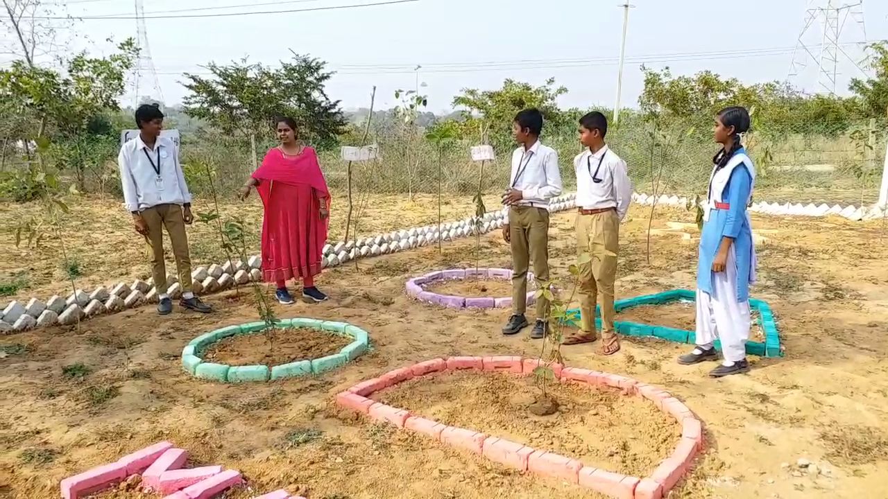 Maths Garden in Korba