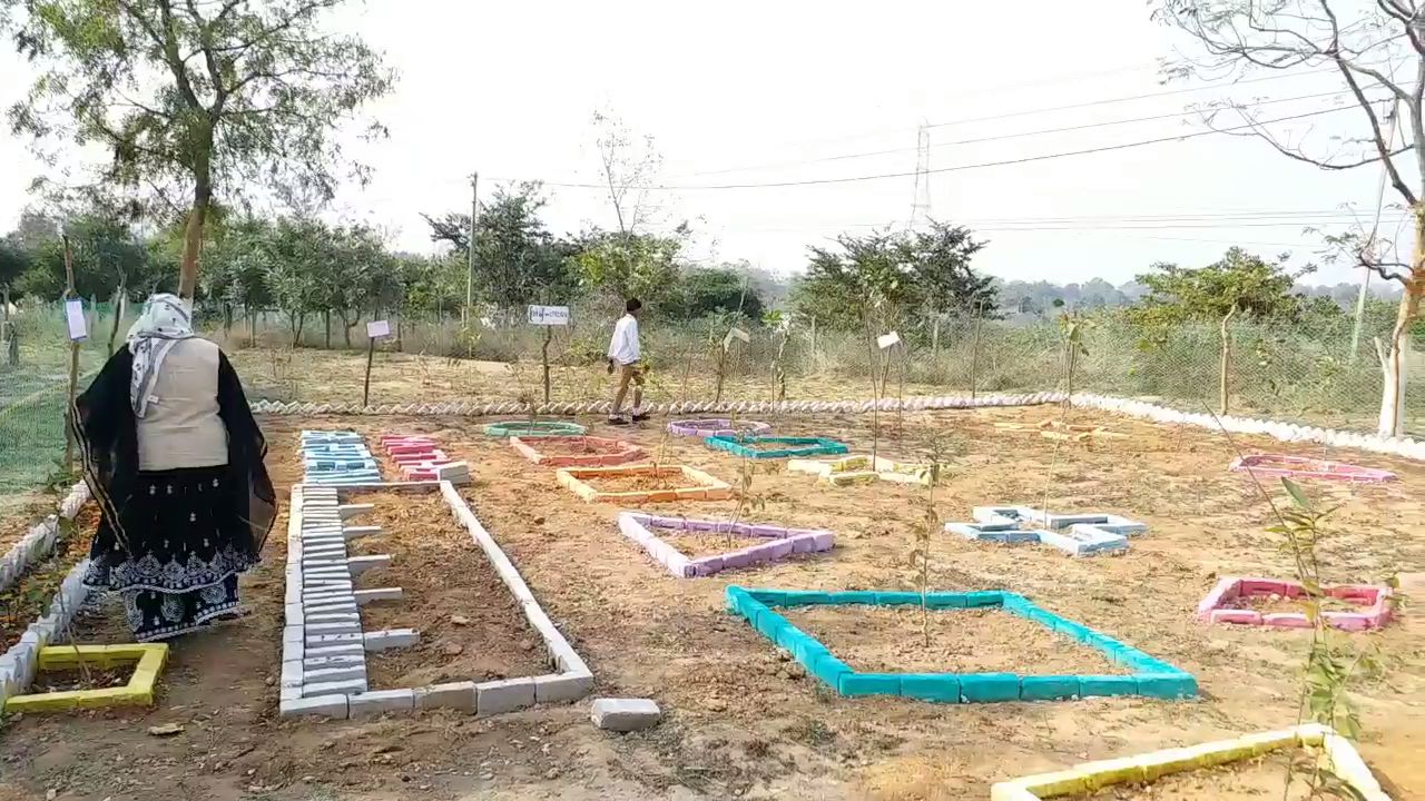 Maths Garden in Korba High School